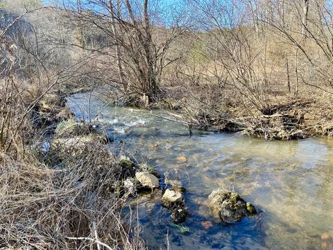 979 Roberson Mill Rd SE, Floyd, VA 24091 photo 4