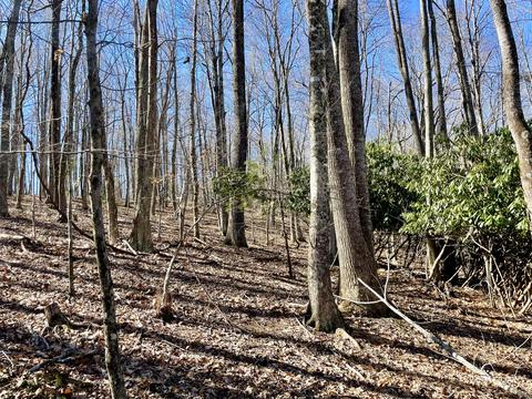 979 Roberson Mill Rd SE, Floyd, VA 24091 photo 10