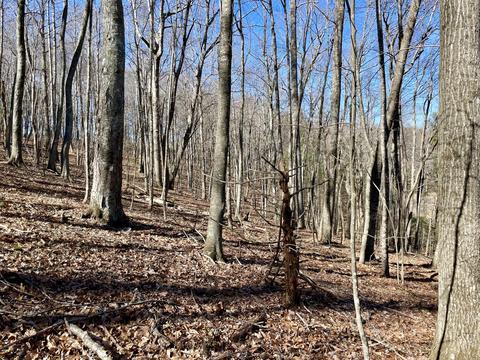979 Roberson Mill Rd SE, Floyd, VA 24091 photo 12