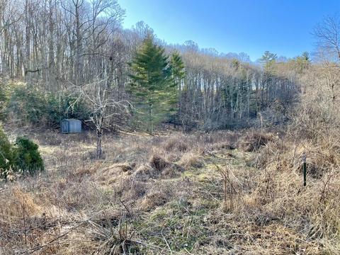 979 Roberson Mill Rd SE, Floyd, VA 24091 photo 7