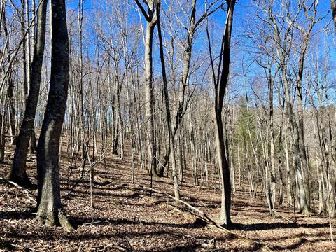 979 Roberson Mill Rd SE, Floyd, VA 24091 photo 14