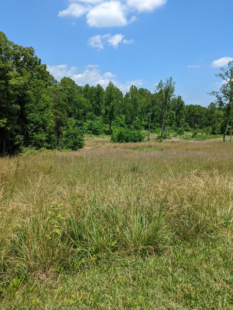 Lot B Redbud Ln, Fincastle, VA 24090