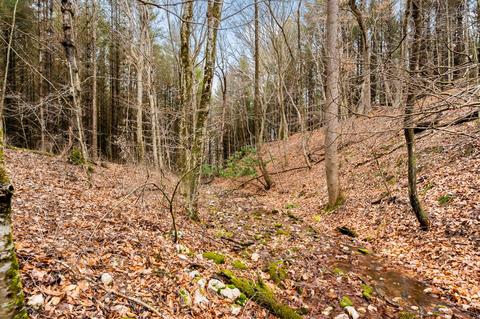 1055 Epperly Mill Rd SW, Floyd, VA 24091