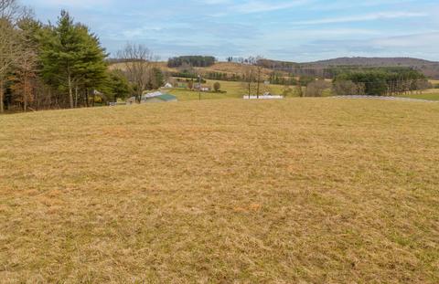 3517 Daniels Run Rd NE, Pilot, VA 24138 photo 85