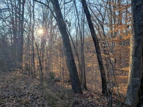10 Softwind Drive, Moneta, VA 24121