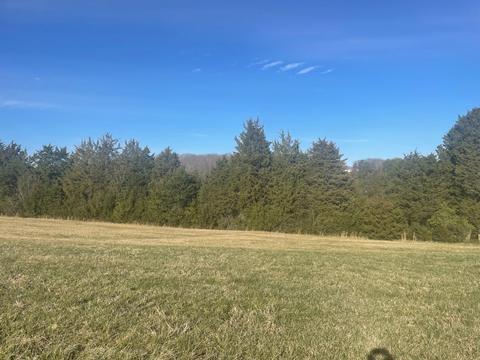 lot30 Camellia Pl, Moneta, VA 24121