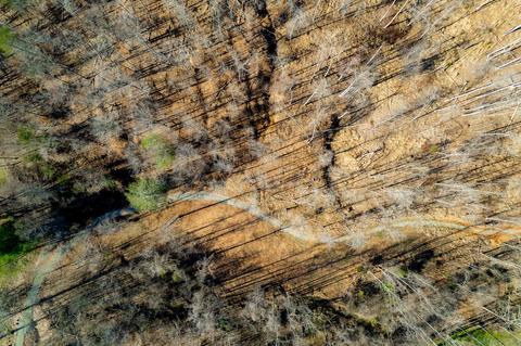 0 Par Five, Hardy, VA 24101 photo 15