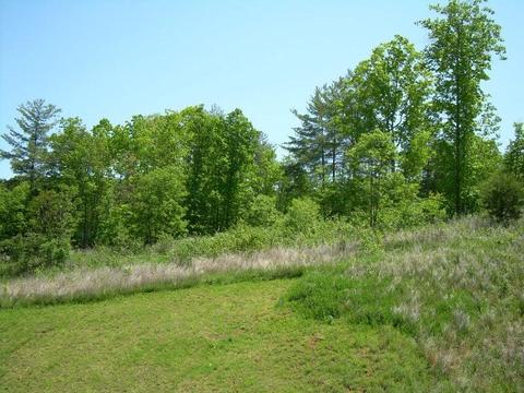 5927 Paddington Ct, Roanoke, VA 24018