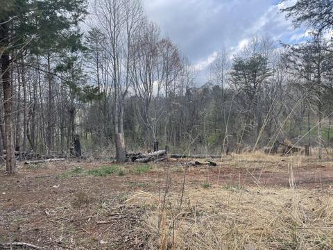 0 Eagles Nest Dr, Goodview, VA 24095 photo 2