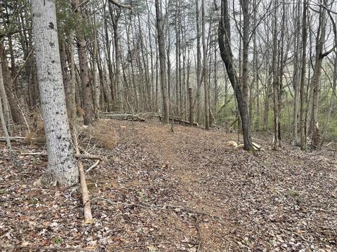 0 Eagles Nest Dr, Goodview, VA 24095 photo 5
