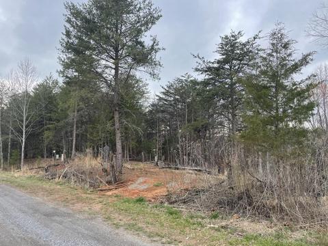 0 Eagles Nest Dr, Goodview, VA 24095