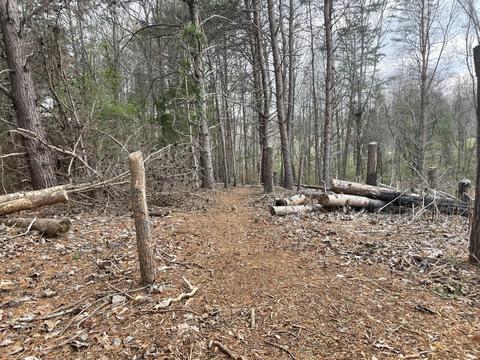 0 Eagles Nest Dr, Goodview, VA 24095 photo 4