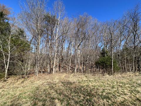 Lot 2 White House Rd, Moneta, VA 24121