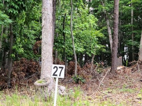 lot27 Belle Isle Dr, Union Hall, VA 24176