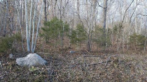 0 Catawba Rd, Troutville, VA 24175