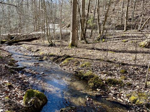 0 Glendale Rd, Bent Mountain, VA 24059