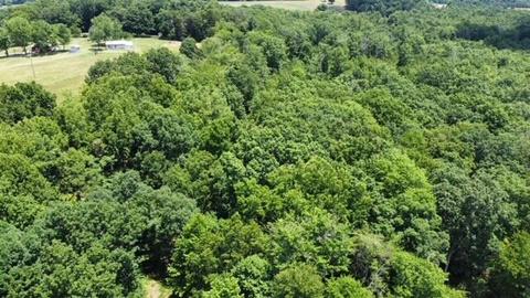 0 Angle Plantation Rd, Rocky Mount, VA 24151