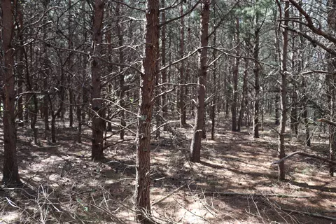 lot28 Scruggs Rd, Moneta, VA 24121