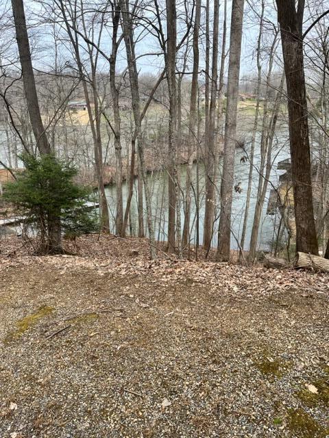 Lot 31 Lakecrest Dr, Hardy, VA 24101