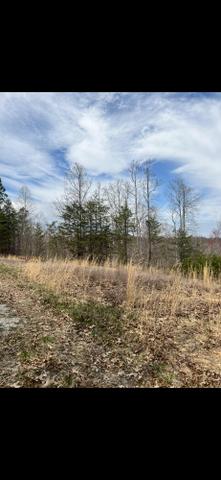 0 Doe Run Rd, Rocky Mount, VA 24151