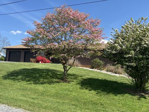 4748 Barton Dr, Dublin, VA 24084 photo 3