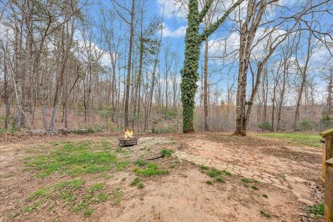 2800 Old Ferrum Rd, Ferrum, VA 24088 photo 49