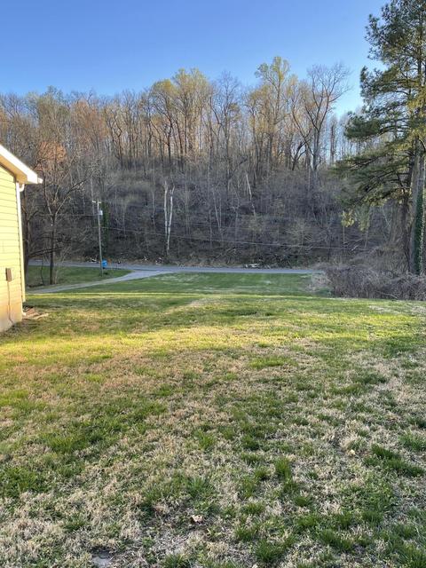 2202 Edgerton Ave SE, Roanoke, VA 24014 photo 10