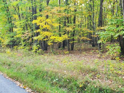 0 Midland Rd, Wingina, VA 24599