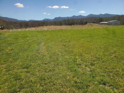 478 Dagger Spring Rd, Eagle Rock, VA 24085 photo 31