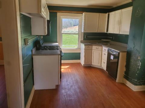 478 Dagger Spring Rd, Eagle Rock, VA 24085 photo 14
