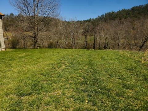 478 Dagger Spring Rd, Eagle Rock, VA 24085 photo 32