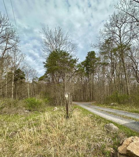 86 Forrest Hill Dr, Eagle Rock, VA 24085 photo 42