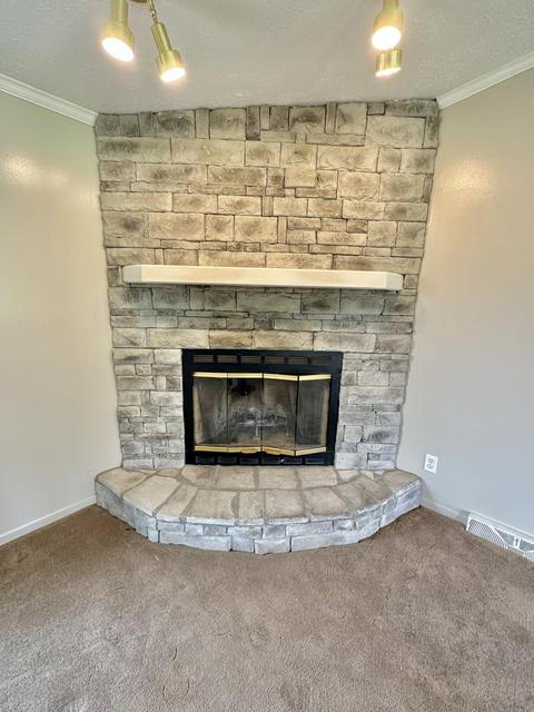 86 Forrest Hill Dr, Eagle Rock, VA 24085 photo 14