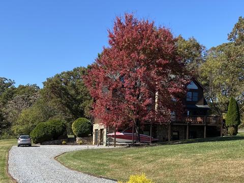 621 Spreading Spring Rd, Buchanan, VA 24066 photo 100