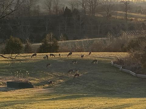 621 Spreading Spring Rd, Buchanan, VA 24066 photo 5