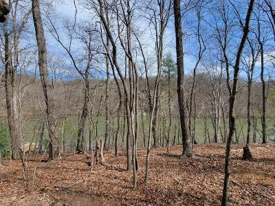 lot85 Lakeshore Terrace Rd, Hardy, VA 24101