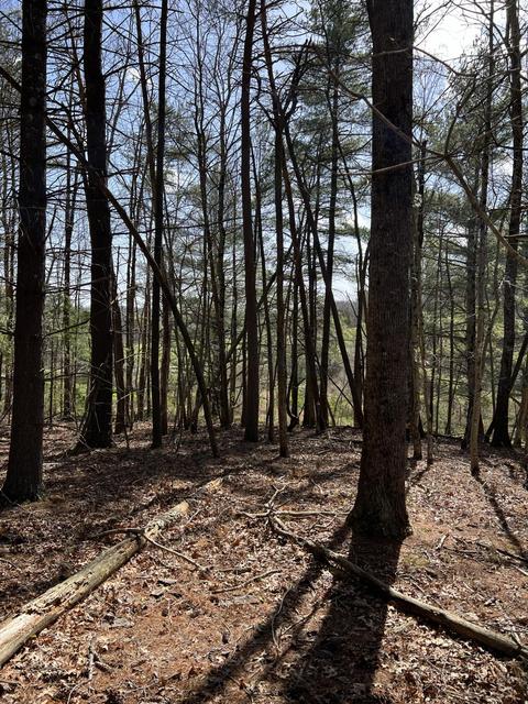 0 Level Bottom Rd NE, Check, VA 24072