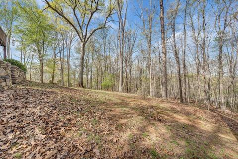 1571 Hidden Forest Dr, Goodview, VA 24095 photo 37