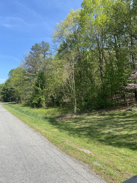 0 Spruce Ln, Blue Ridge, VA 24064