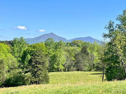 Lot 3 Magnolia Dr, Bedford, VA 24523