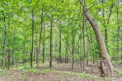 204 Willowridge Dr, Thaxton, VA 24174 photo 33