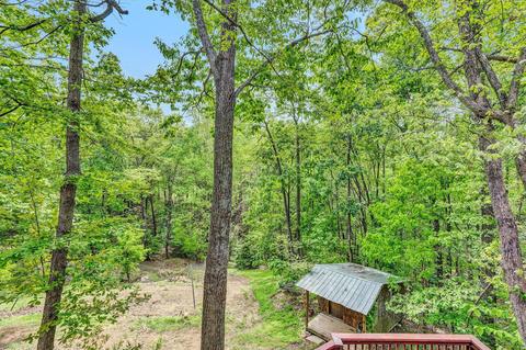204 Willowridge Dr, Thaxton, VA 24174 photo 31