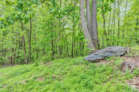 204 Willowridge Dr, Thaxton, VA 24174 photo 36