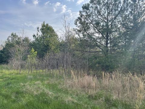 lot6 Truevine Rd, Penhook, VA 24137