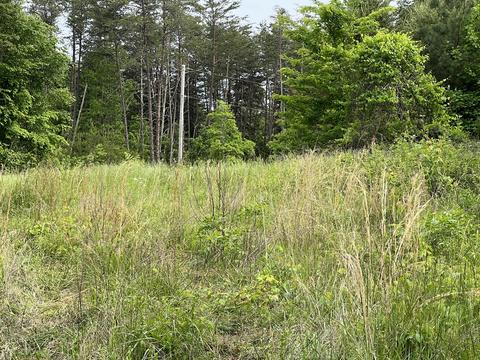 lot6 Truevine Rd, Penhook, VA 24137 photo 9