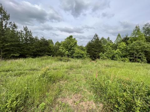 lot6 Truevine Rd, Penhook, VA 24137 photo 8