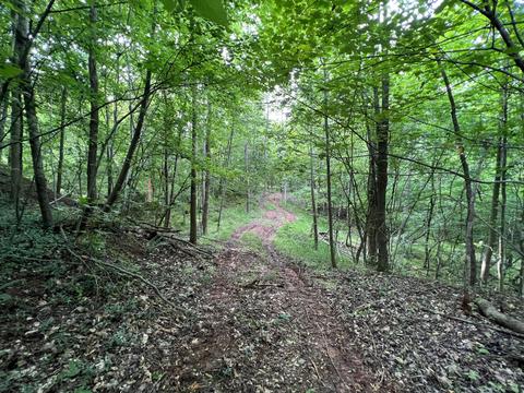 lot6 Truevine Rd, Penhook, VA 24137 photo 3