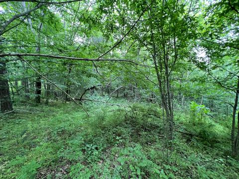 lot6 Truevine Rd, Penhook, VA 24137 photo 5