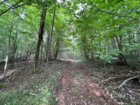 lot6 Truevine Rd, Penhook, VA 24137 photo 4