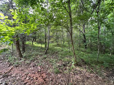 lot6 Truevine Rd, Penhook, VA 24137 photo 6